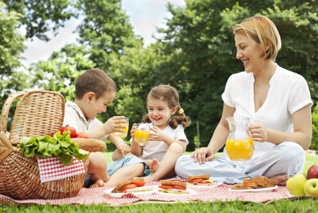 picnic