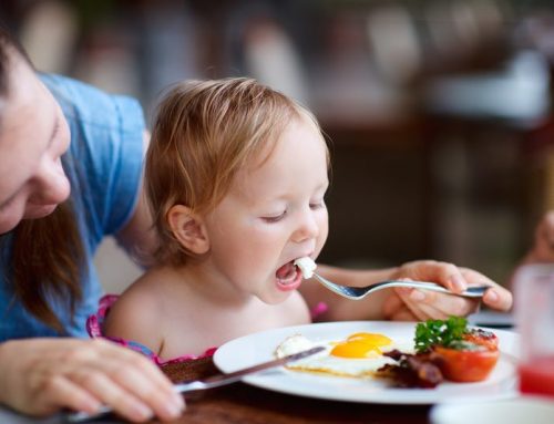 Quando Evoluir a Alimentação dos Filhos? E como ?